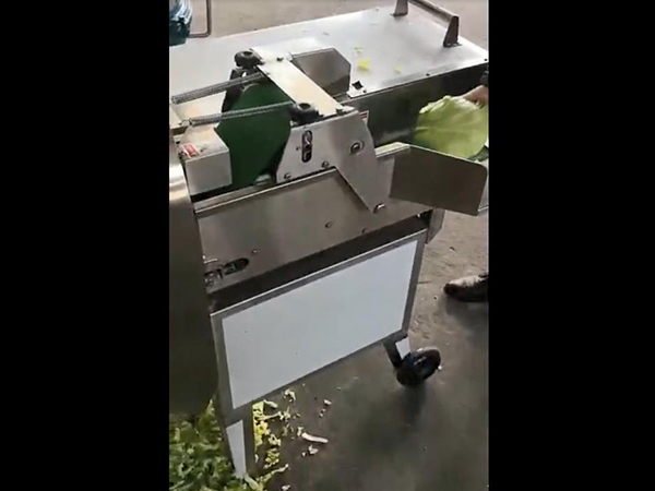 台湾大型切菜机